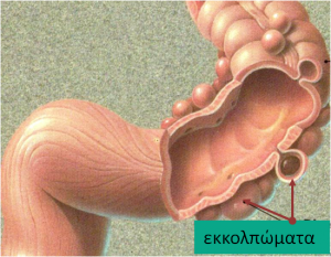 ekkolpomata8