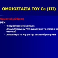 Ορμονική ρύθμιση. PTH. 4 παραθυρεοειδείς αδένες. Απελευθερώνουν PTH ανάλογα με τα επίπεδα Ca στον ορό. Απαραίτητο το Mg για την απελευθέρωση PTH.